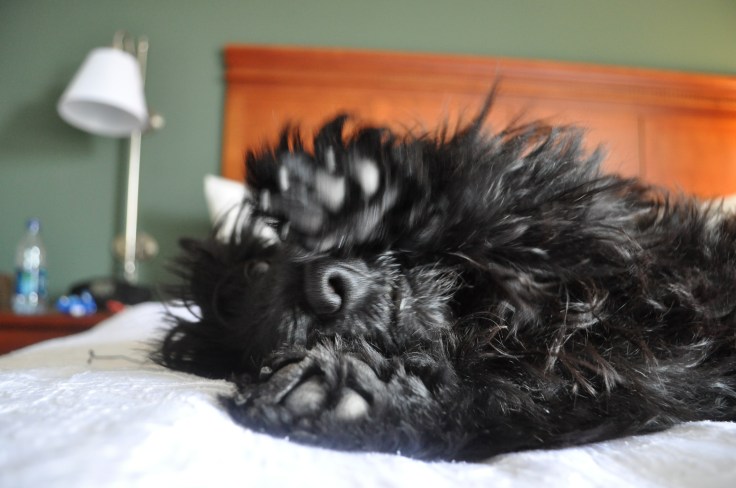 Yes Pippi, it would be terrible to miss out on some points. 