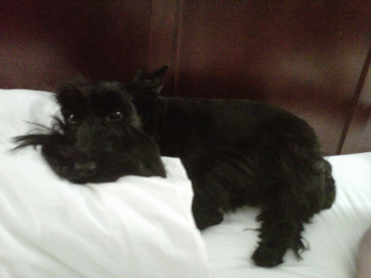 So much to think about, it can be exhausting 