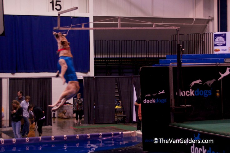 Dock Dog 2012 3