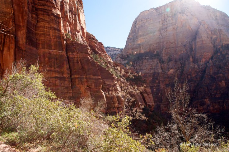 Zion Edit Blog 4