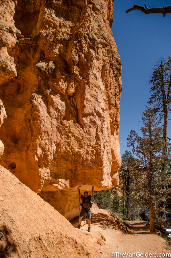 Bryce Canyon 2014 - ER (11 of 12)