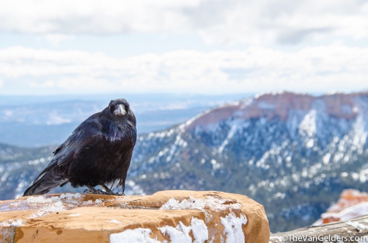 Bryce Canyon 2014 - ER (4 of 12)