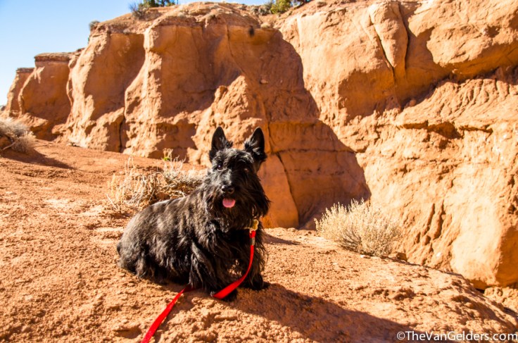 Kodachrome SP 2014 - ER (1 of 6)