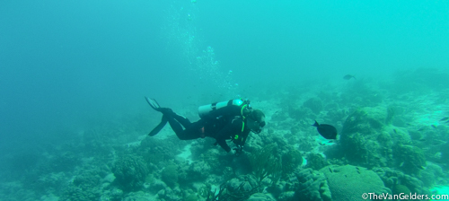 Bonaire 2015e (1 of 1)-2