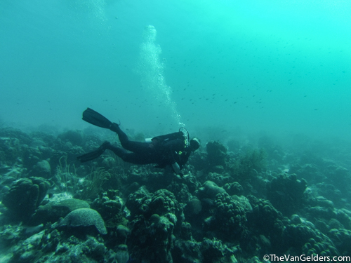 Bonaire 2015e (1 of 1)-3