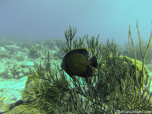 There guys were everywhere