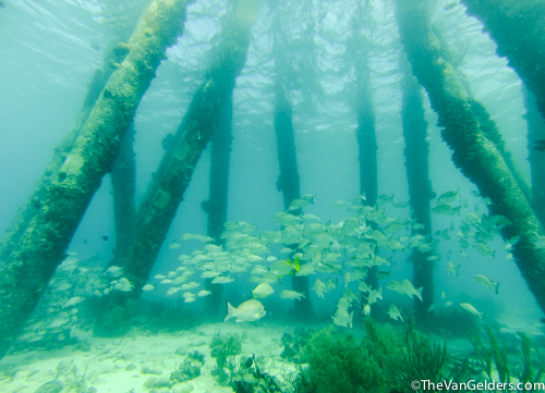 Local artists capture many scenes like this for tourists