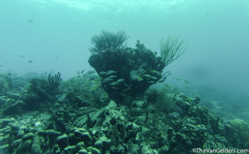 Fish Finder (5 of 14)