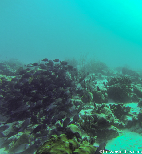 I am a huge fan of big schools like this