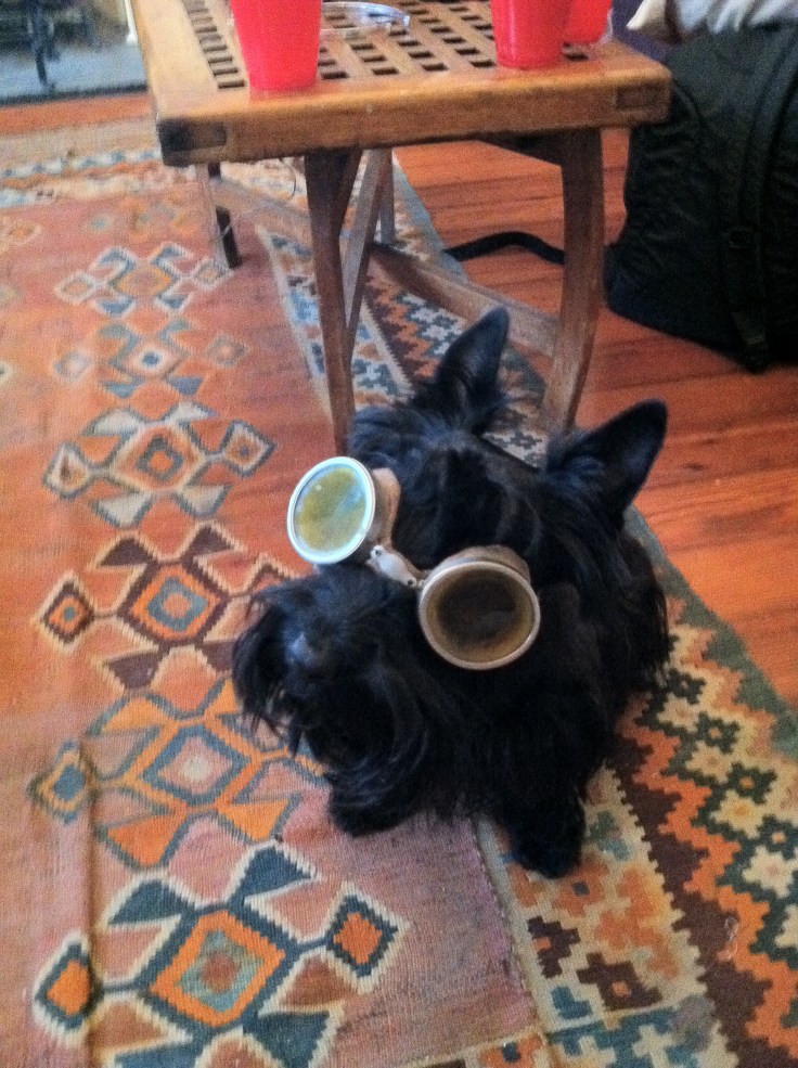 Pippi going Steampunk for the parade