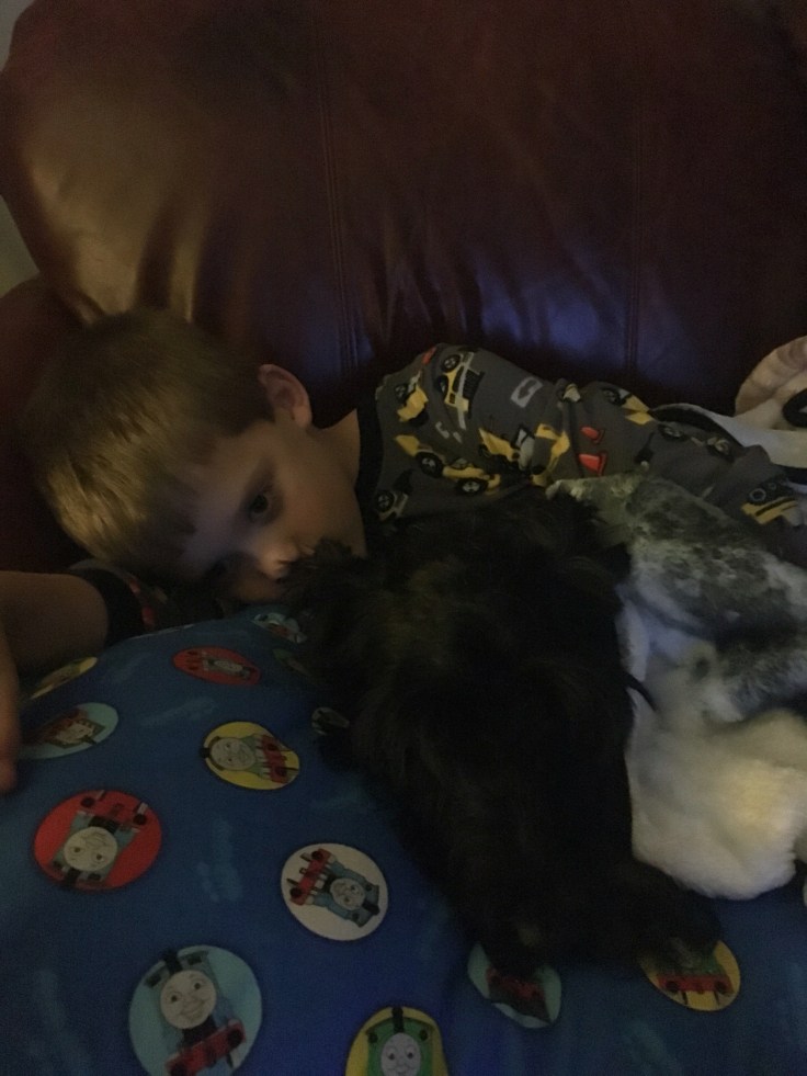 Pippi stealing pillows at bedtime